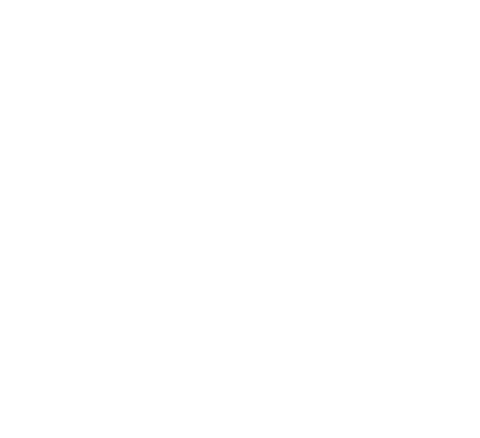 Standard Icon